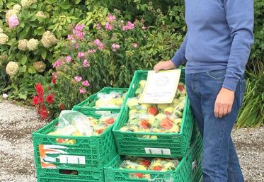 Emmanuel Dalle : «Nous avons passé beaucoup de temps et d’énergie pour produire nos fruits, c’est vraiment 
désespérant de devoir les jeter, alors nous les donnons.»