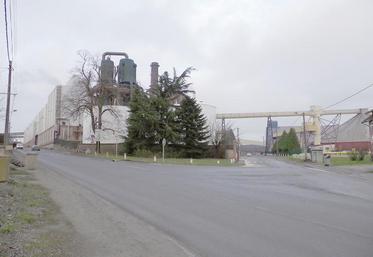 Dès la prochaine campagne, la sucrerie de la Somme veut augmenter sa production, et donc les volumes de betteraves traités. L’appel aux planteurs est lancé.