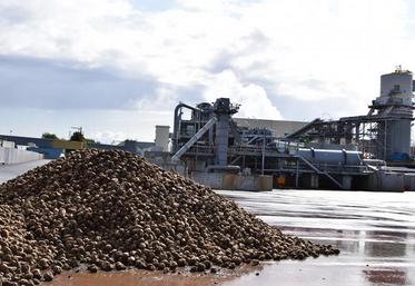 Les premières betteraves sont arrivées sur le site à Roye.