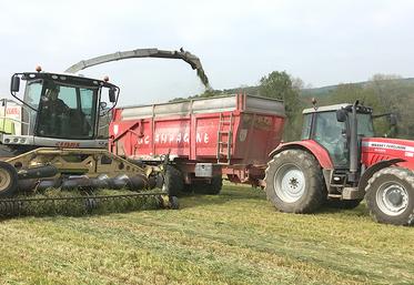 Chantier d’ensilage de ray-grass dans la Somme.