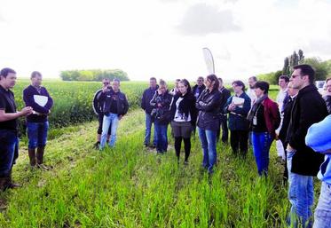 Présentation des différentes cultures à un public non-initié.