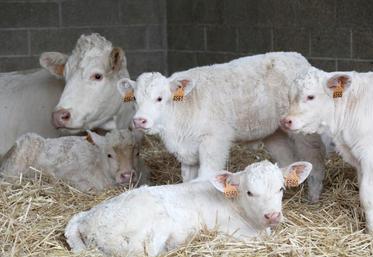 D’un point de vue économique, favoriser le renouvellement permet d’augmenter la productivité et de réduire ainsi le manque à gagner.