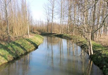 La rivière L’Omignon, à Monchy-Lagache, dans la Somme.