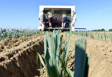 Qu’est-ce qui est carré, blanc, abrite sept travailleurs et roule à 350 m/h dans les champs de la CC2SO depuis trois mois ? La planteuse à poireaux !