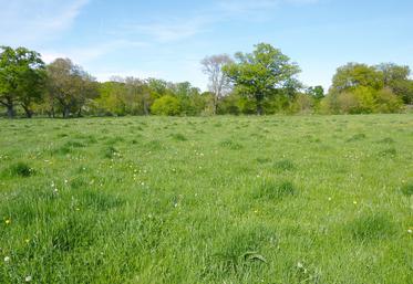 Contraste des zones bousas lié à une faible fertilité sauf à l’endroit des anciennes bouses.