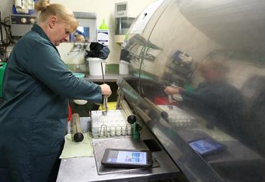 La feuille de route d’ACE pour les années à venir est de proposer un accompagnement global aux éleveurs dans la gestion de leur atelier. 