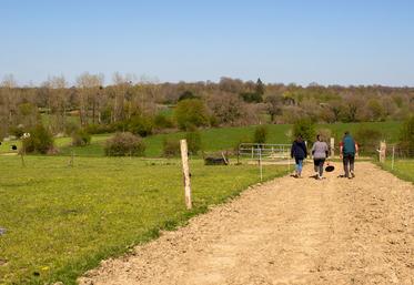 C’est avant tout l’optimisation des fourrages qui permettra de diminuer les achats extérieurs de correcteurs azotés et énergétiques. 