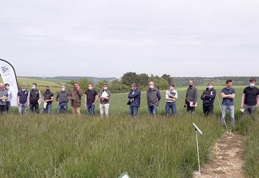 Visite des essais désherbage fétuque élevée à Bougainville. 
