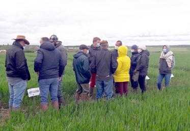 L’après-midi était consacrée à la visite d’essais bio développés sur l’exploitation de Thomas Bourgeois. 