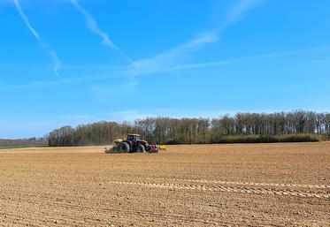 Le liniculteur doit viser un peuplement de 1 500 à 1 600 plantes viables par mètre carré. Une densité trop importante génère des lins petits et sensibles  aux bioagresseurs. 