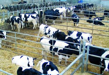 La France doit réussir le changement de paradigme entre l’encadrement institutionnel auquel les éleveurs ont été habitués et la soumission au prix du marché.