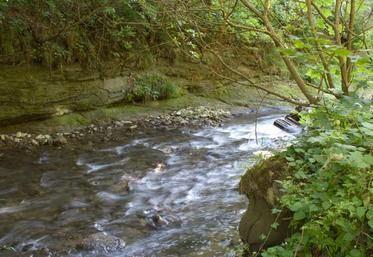 L’interdiction de fertiliser des parcelles dès 10 % de pente à proximité des cours d’eau est remplacée par une autorisation sous la condition d’une bande végétalisée continue non fertilisée d’au moins 5 mètres de large ou d’un talus d’au moins 50 cm.