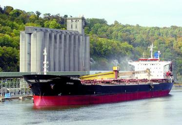 Au 31 janvier, 6,9 Mt avaient été expédiés vers les pays tiers, 19 % de plus qu'en 2012-2013.