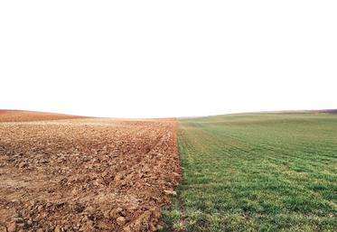 Plusieurs définitions de l’agriculture de régénération coexistent. Elle est le plus souvent recentrée sur des pratiques d’«amélioration du sol» en s’approchant du concept d’agriculture de conservation.