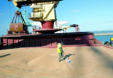 La bonne nouvelle vient du Yémen, qui a acheté 66 000 t de blé français en décembre et 30 000 t au début de l’année.