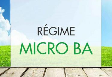 Le micro-BA est un régime qui s’adresse aux exploitants qui réalisent un chiffre d’affaires inférieur à 82 800 € hors taxes. 