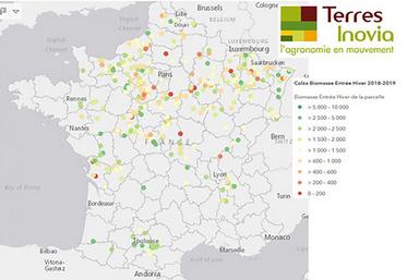 Enquête Terres Inovia 2018-2019. Biomasse : de 17 g/m2 à 4.500 g/m2.