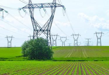 Votre entreprise peut souscrire une offre à prix de marché à tout moment avant le 31 décembre, sans préavis ni indemnités de résiliation pour votre contrat d’électricité au tarif réglementé actuel, auprès du fournisseur de votre choix.