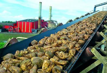 Premières betteraves de la campagne sur le tapis de l’usine de Roye.