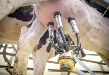 Difficile de parvenir à un accord sur les indicateurs au sein de l’interprofession laitière.