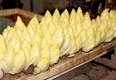 Globalement, on peut donc dire que la campagne s’est plutôt bien tenue en matière de prix.