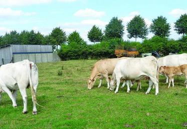 «Durant leur contrôle, les exploitants devront aller observer chaque animal dans chaque parcelle...»