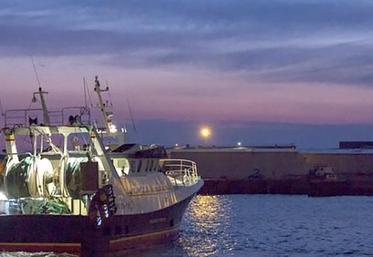 Pendant que les responsables politiques négocient et imaginent des soutiens à la filière pêche en cas de no-deal, les pêcheurs continuent de croiser les doigts.