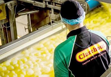 La nouvelle usine Clarebout pourrait embaucher jusqu’à 320 personnes dans le Dunkerquois. Prochaine étape, 
l’obtention du permis de construire.