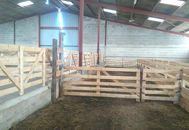 Un exemple d’aménagement d’une ancienne stabulation pour vaches laitières en bergerie.