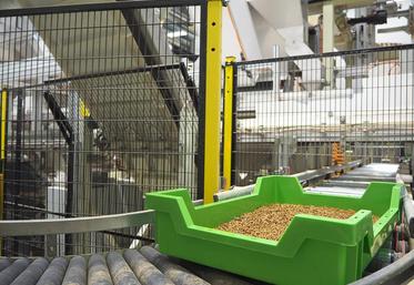 Processus de transformation : lorsque les larves de Molitor arrivent à maturité, 95 % sont étuvées, stérilisées, puis transformées en protéines et en huile premium.