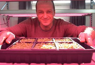 Depuis juin dernier, Christophe Cousin produit cent dix barquettes par an 
avec une vingtaine de variétés. D’ici la fin de cette année, il compte atteindre les trois cents par semaine.