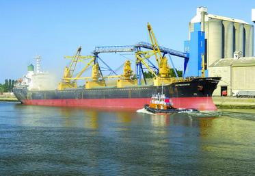 Au 6 décembre, 4,2 Mt de blé tendre étaient déjà sortis des ports français.