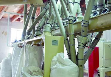 La France compte 369 entreprises de meunerie.