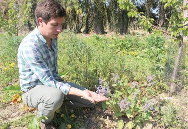 Pour limiter le nombre d’insectes dans son verger, Alexandre Prot n’utilise pas de pesticides.