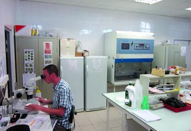 La Fredon de Picardie possède son propre laboratoire de diagnostic des parasites dits "économiques", pour lesquels des moyens de lutte existent.