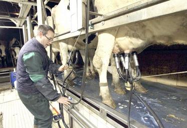 Pour cette campagne, la progression moyenne du lait est estimée à 10 € pour 1 000 l, ce qui positionnerait le prix moyen à 345 €/1 000 l, soit 5 % supérieur à la moyenne décennale. 