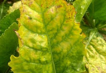 A l'Assemblée nationale, comme au Sénat, les opposants au projet de la loi sur les NNI n'ont pas dit leur dernier mot.