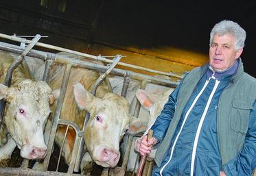 Hubert Cavillon : «Comme nous avions des problèmes de vêlage, on a décidé de passer à l’insémination artificielle. L’idée était de faciliter les naissances, puis de développer les souches laitières et, enfin, assurer le développement squelettique des vaches.»