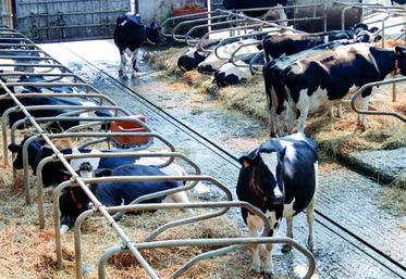 Il n’existe pas de sols parfaits, dans les plus couramment rencontrés, tant au niveau de la propreté des pieds, 
de la locomotion que de l’usure des onglons vaches laitières.