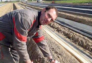 Arnaud et Margaux Gombart, à Sancourt, ont cueilli leurs premières asperges le 10 avril. Il les vendent via un système de drive.