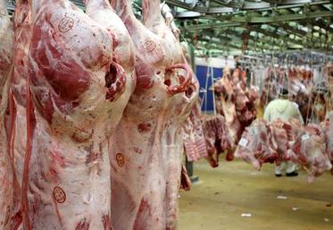 L'AOP serait-elle la dernière chance de la filière bovine ?Oui, à en croire Didier Guillaume.