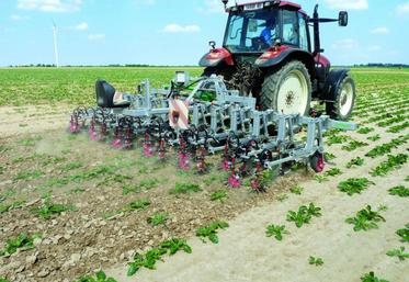 Avec cette bineuse, il est possible de biner en moyenne 30 ha par jour.