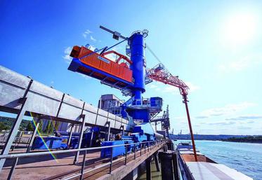 Les embarquements vers l’Algérie, destination majeure et traditionnelle du blé français, dégringolent même de 44 % 
à 894 000 t.