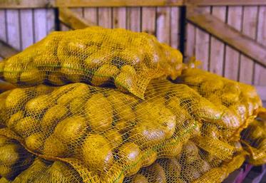 La hausse des prix compense la baisse des volumes.