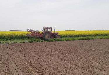 Lorsque le sol est encore trop humide, le travail du sol peut créer des mottes et des lissages.