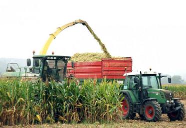 En moyenne, entre le 23 août et le 30 août, les maïs ont pris 4,3 points de matière sèche.