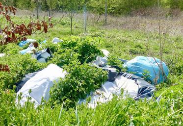 Les dépôts sauvages sont punis par la loi : entre 68 et 75 000 € d’amende, et deux ans de prison, selon que l’on 
soit un particulier ou un professionnel.