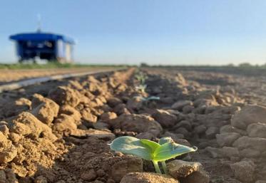 Le robot d’observation des cultures, The Plant Buggy, a été dévoilé le 12 octobre.