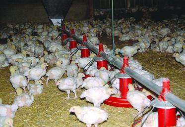 L’environnement est un des principaux sujets que devra traiter ce plan.