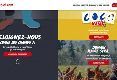 La marque a lancé le site internet www.poule-emploi.com pour présenter son dispositif.